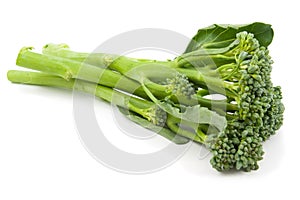 broccolini baby broccoli isolated