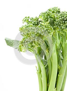 broccolini baby broccoli isolated