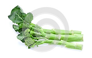 Broccolini baby broccoli isolated on white background