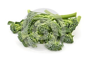 Broccolini on a white background photo