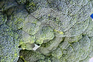 Broccolis
