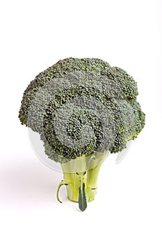 Broccolli