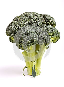 Broccolli