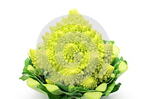 Broccolo romanesco photo