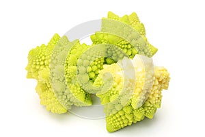 Broccolo romanesco photo