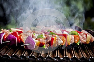 Brochette grilling