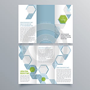 Brochure design, brochure template