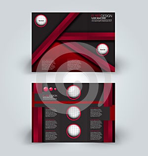 Brochure design template for business education advertisement. Trifold booklet