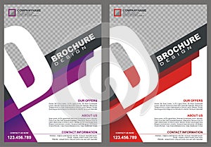 Brochure - Flyer with letter `D` logo style cover