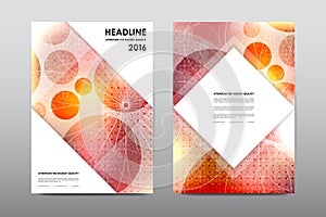 Brochure layout template flyer design vector, Magazine booklet cover abstract background