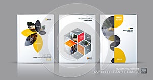 Brochure template layout collection, cover design annual report,