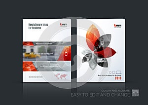 Brochure template layout collection, cover design annual report,
