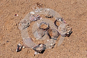 Brocken seashells on sand beach at hot sun summer day. View from above