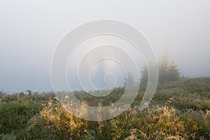 Brocken spectre