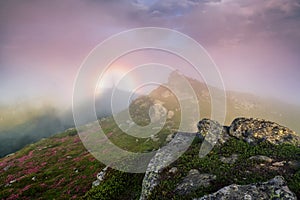 Brocken Spectre in the meadow among the highest mountains , fog and dramatic sky. Beautiful summer scenery. The rhododendron