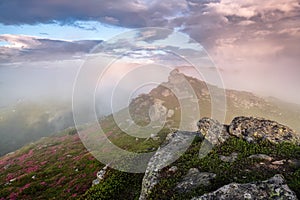 Brocken Spectre in the meadow among the highest mountains , fog and dramatic sky. Beautiful summer scenery. The rhododendron