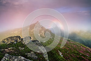 Brocken Spectre in the meadow among the highest mountains, fog and pink sky. Amazing spring landscape. A lawn covered with flowers