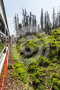 The Brockenbahn narrow-gauge railway in the German Harz mountains on its way down from the Brocken mountain