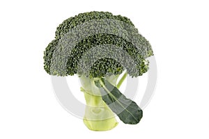 Brocoli