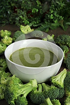 Brocoli soup