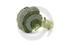 Brocoli on white background