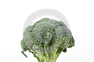 Brocolli