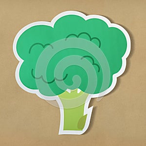 Brocolli antioxidant vegan food icon isolated on background photo