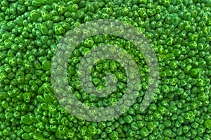 Brocolli bunch close up