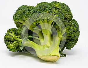 A brocolli Floret