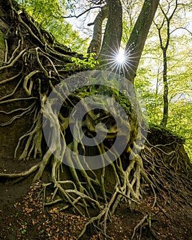 Brohl Valley, Rhineland-Palatinate, Germany