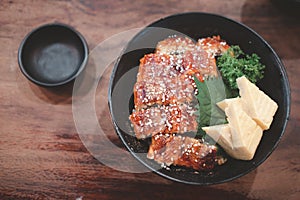Broiled eel on rice. Japanese unagi cuisine