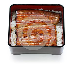 Broiled eel on rice,unaju, japanese unagi cuisine photo