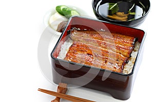 Broiled eel on rice,unaju, japanese unagi cuisine photo