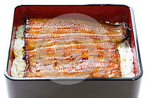 Broiled eel on rice,unaju, japanese unagi cuisine photo
