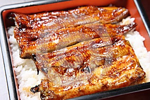 Broiled eels on rice