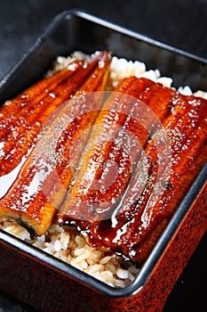 Broiled eels on rice