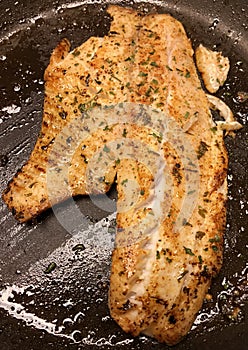 Broiled Tilapia filets