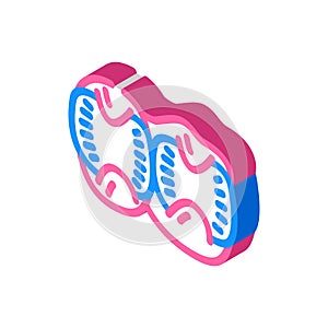 broiler stomachs isometric icon vector illustration photo