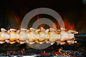 Broiling chicken on spit photo