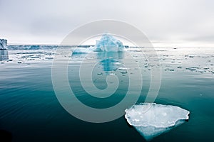 Broken Arctic ice floes float with a glacier in the distance