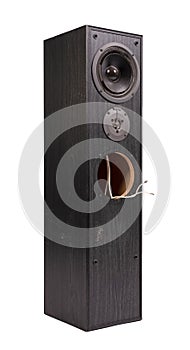 Broken audio speaker, done playing music