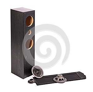 Broken audio speaker, done playing music