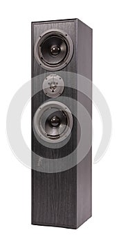 Broken audio speaker, done playing music