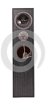 Broken audio speaker, done playing music