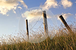 Broken barbed wire fence