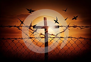 Broken barbed wire and free flying birds on cross sunset background. Generate Ai.