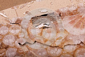 Broken bathroom scales. Toughened glass crumbled into pieces from a blow