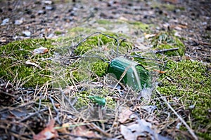 Broken beer bottle on the ground