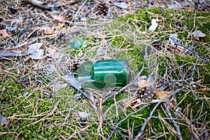 Broken beer bottle on the ground in the forest.