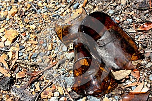 Broken Beer Bottle